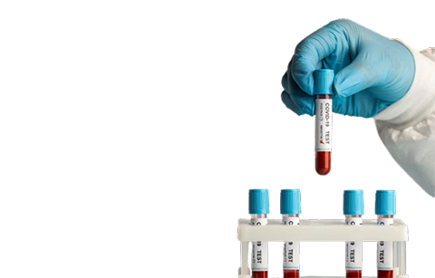 Pre-Clinical Sciences